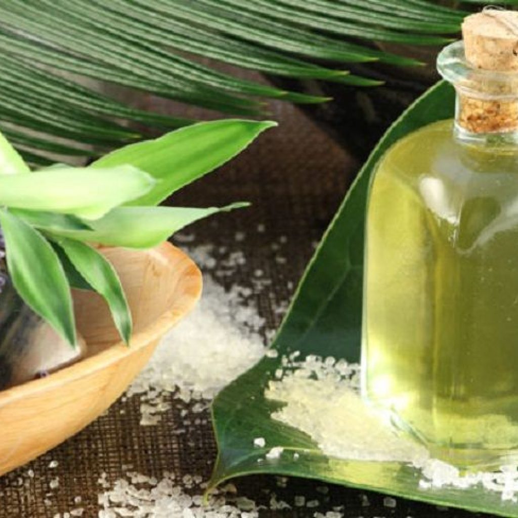 Clove Essential Oils offer Cooking and Oral Care