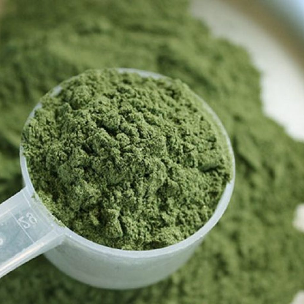 Understanding Kratom and its Unique Features
