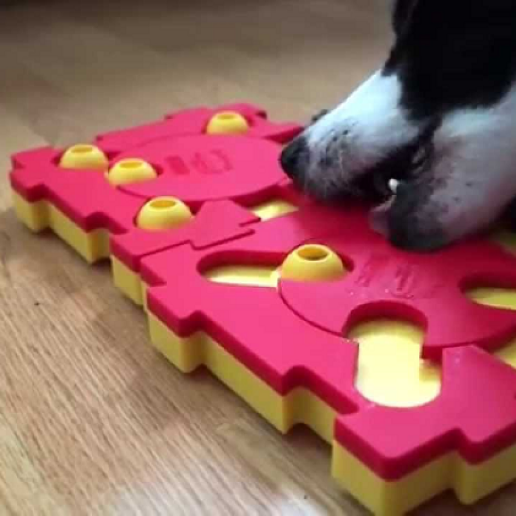 3 Best Dog Puzzle Toys and Games from Nina Ottosson