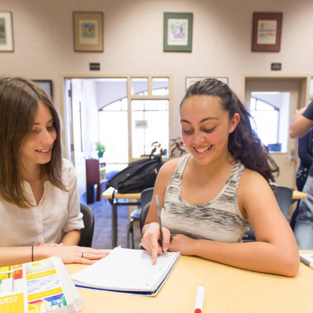 Tutor Centers Or Private Tutors?