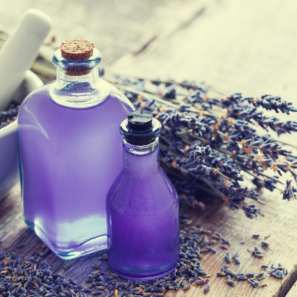 How Long Does Lavender Hydrosol Last? Storage Guidelines and Tips