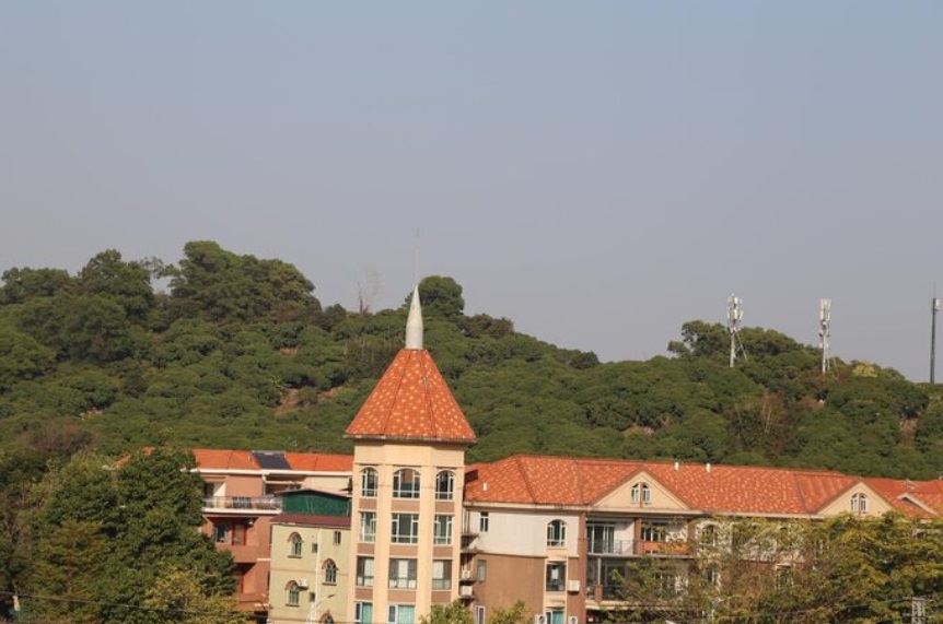 Homes Designed for Modern Life at Lentor Gardens Residences and Terra Hill
